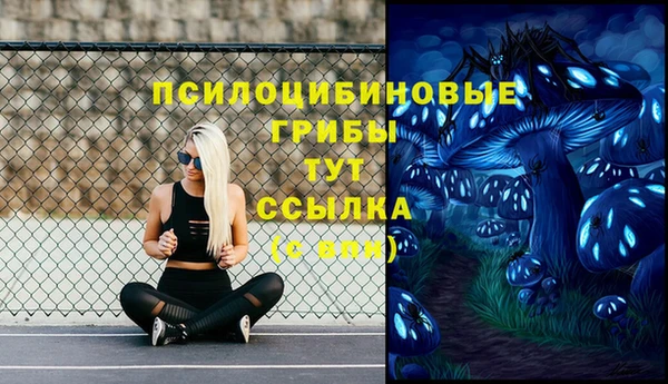 2c-b Арсеньев